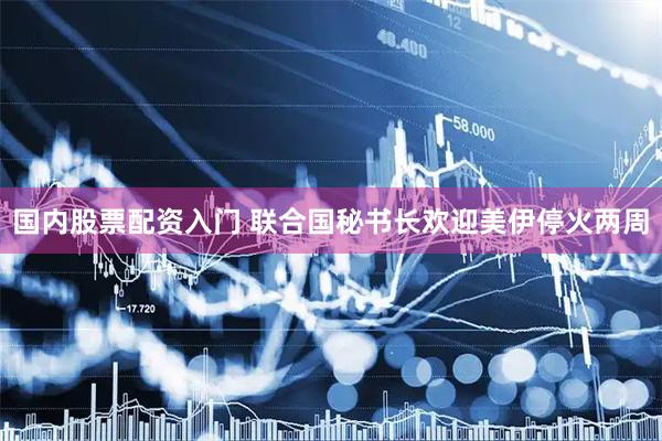 国内股票配资入门 联合国秘书长欢迎美伊停火两周
